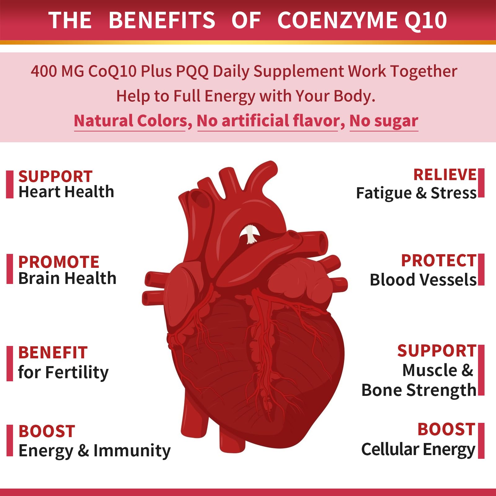 ZEBORA CoQ10 Softgels for Heart Health and Energy

