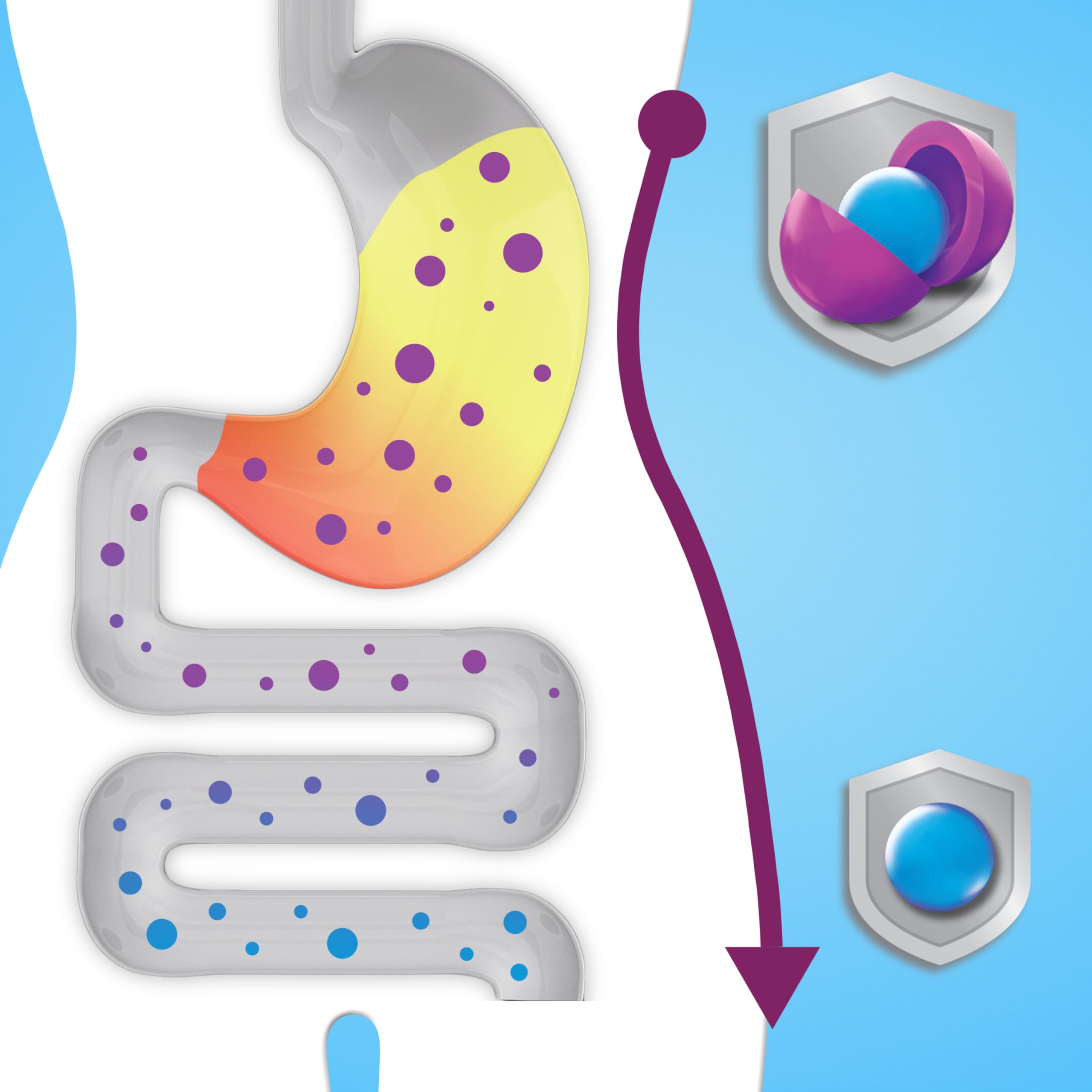 Digestive Advantage Kids Probiotic Gummies | Daily Digestive

