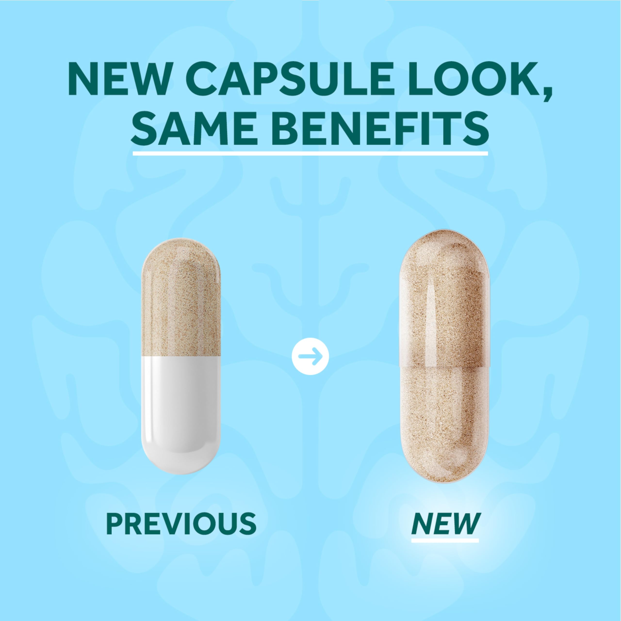 Neuriva Brain Support for Memory & Focus with Neurofactor

