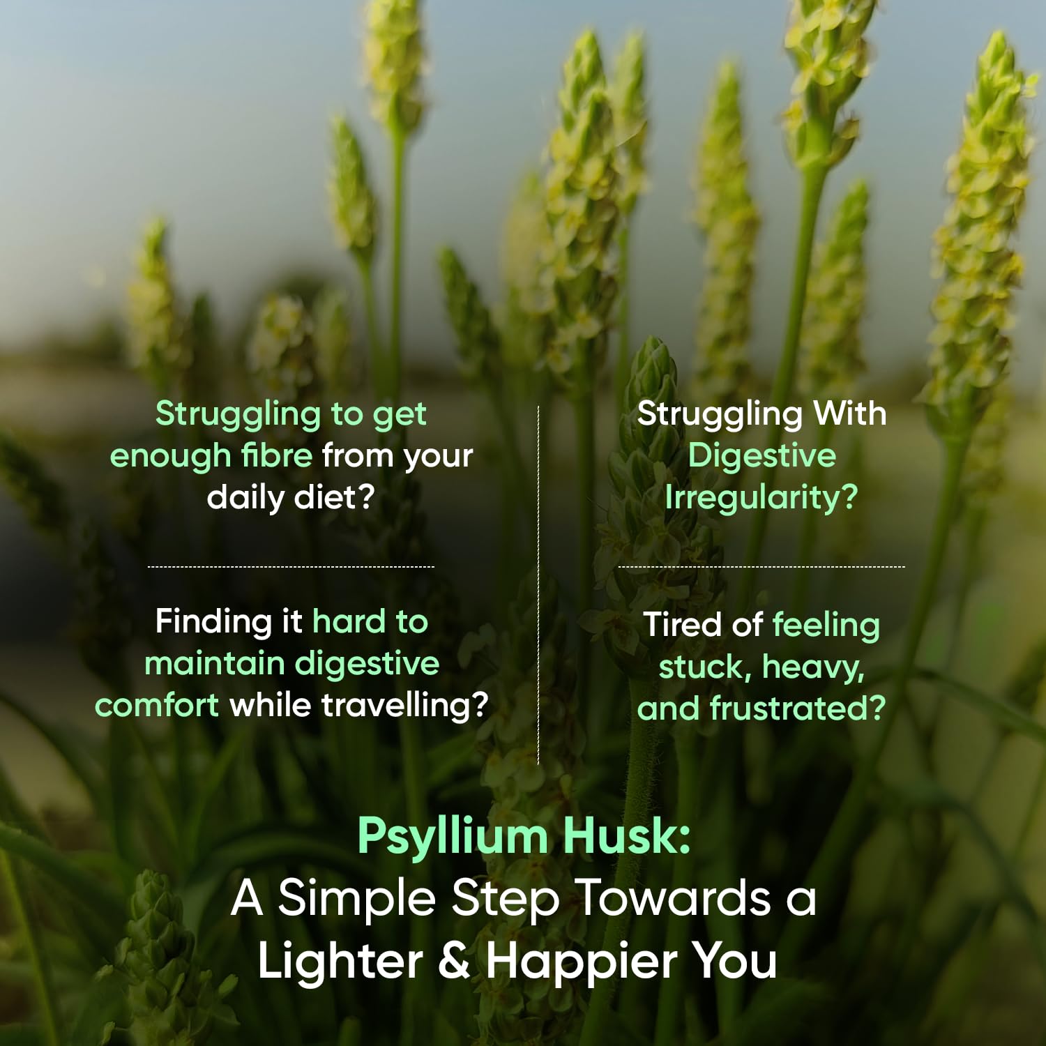 WeightWorld Psyllium Husk Capsules for Digestive Fiber

