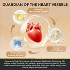 ZEBORA Ubiquinol CoQ10 Softgels for Heart Health

