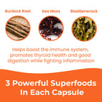 Infinite Age Sea Moss Capsules - Vegan Irish Sea Moss

