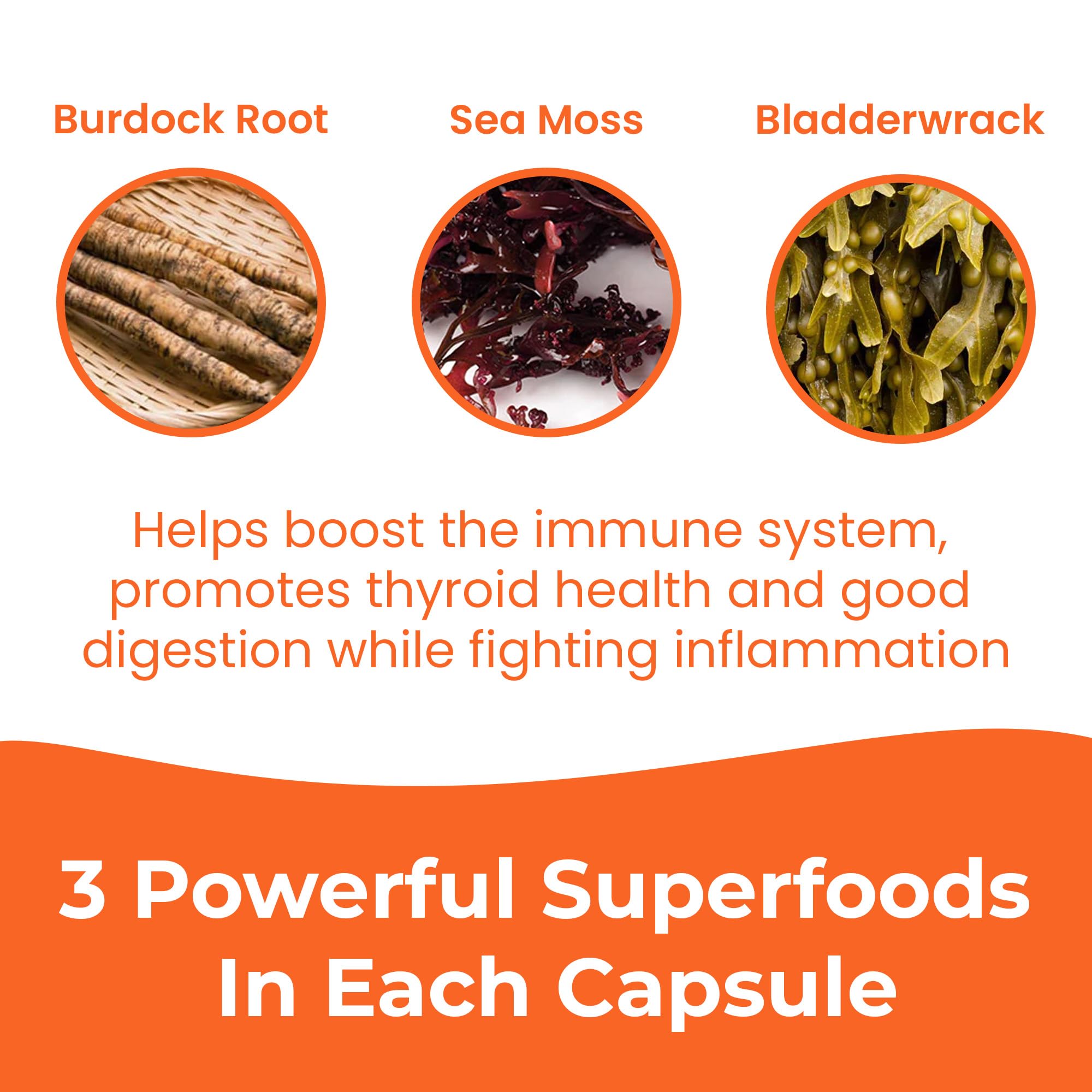Infinite Age Sea Moss Capsules - Vegan Irish Sea Moss

