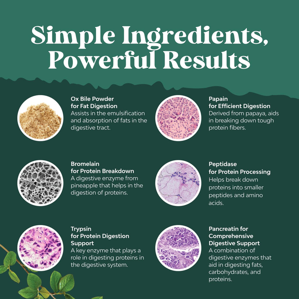 Digestive Enzymes with Ox Bile for Fat and Nutrient Digestion


