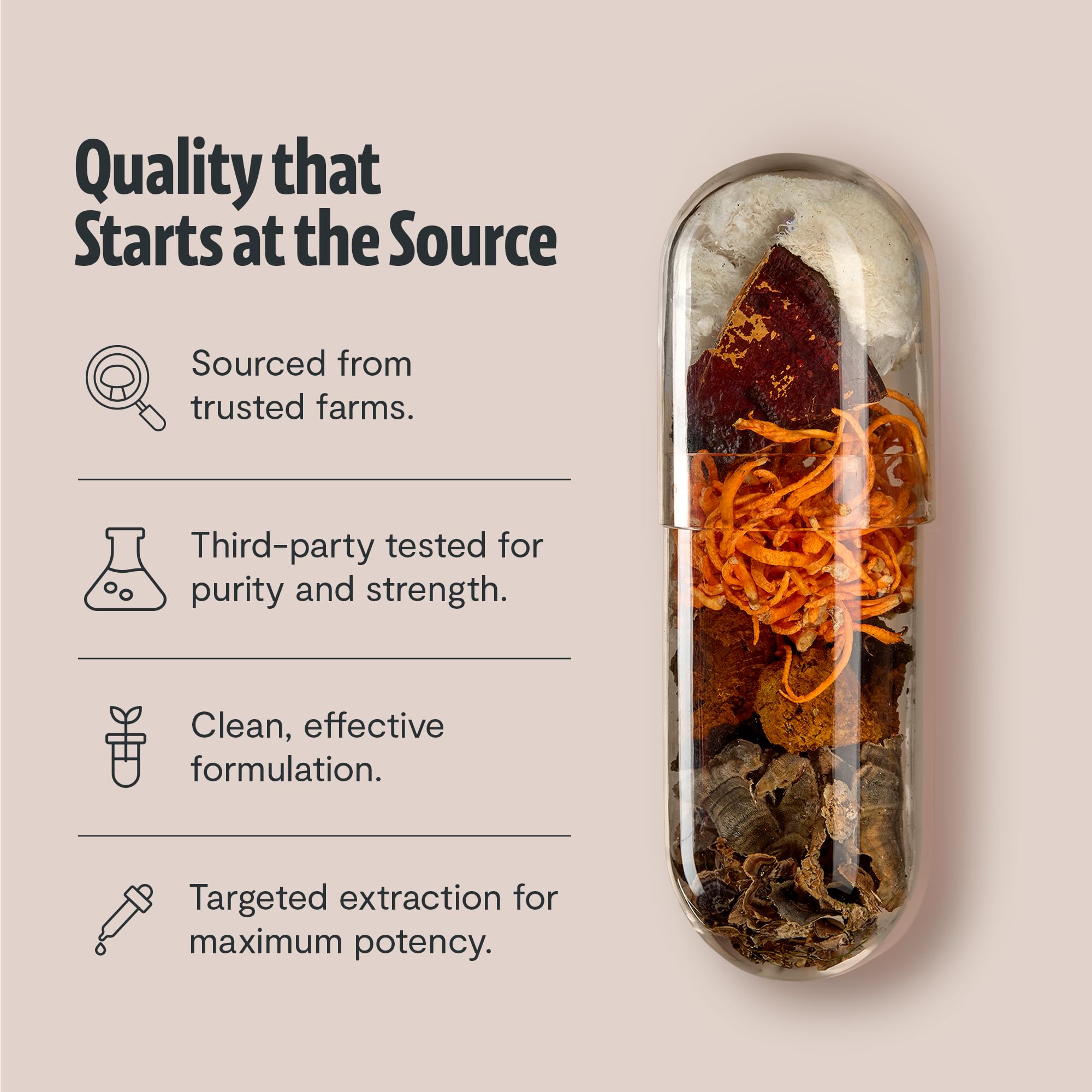 FreshCap Organic Mushroom Supplement - 12:1 Extract

