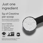 Sports Research Creatine Monohydrate Powder 5 g Micronized

