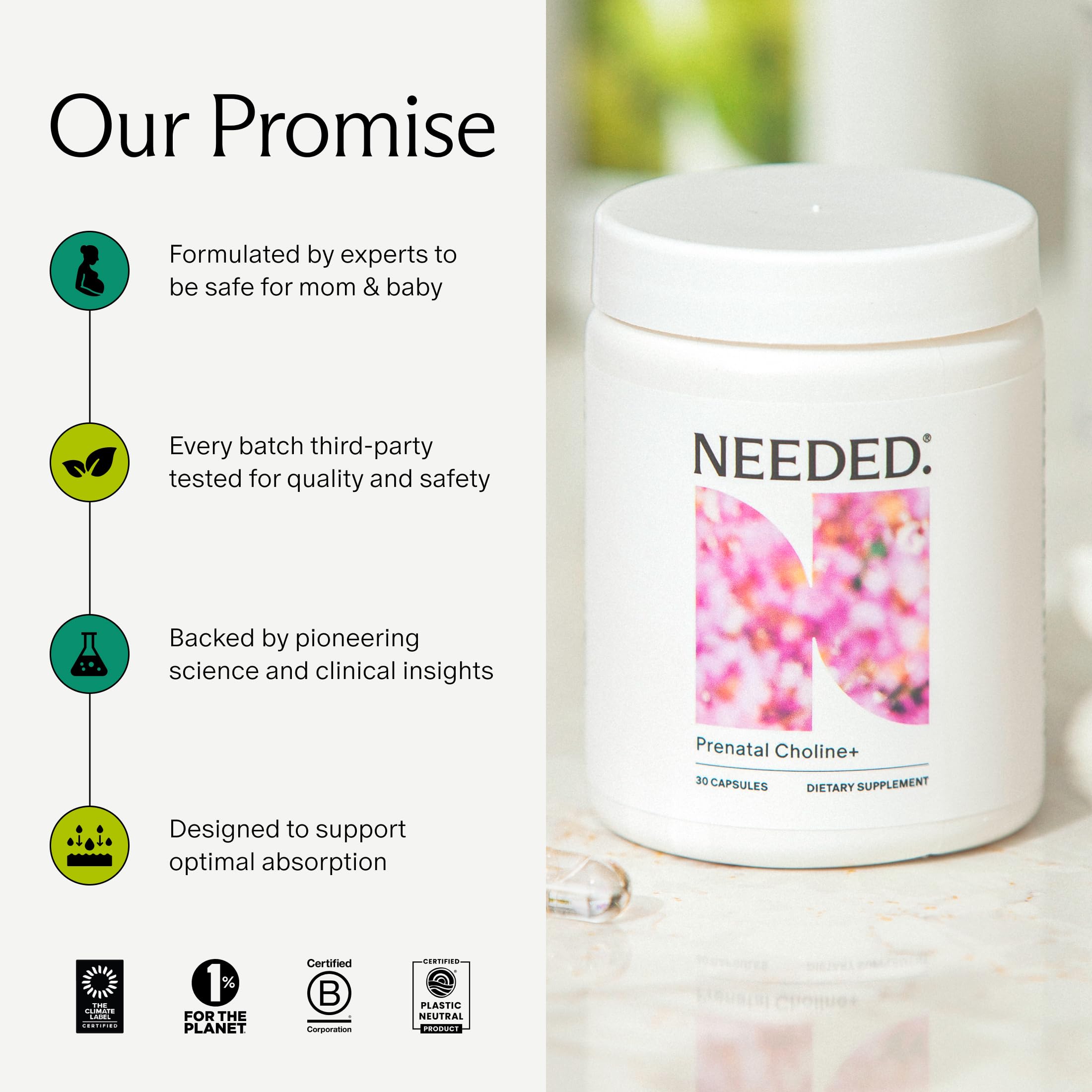Needed Prenatal Choline+ Supplement for Baby Brain

