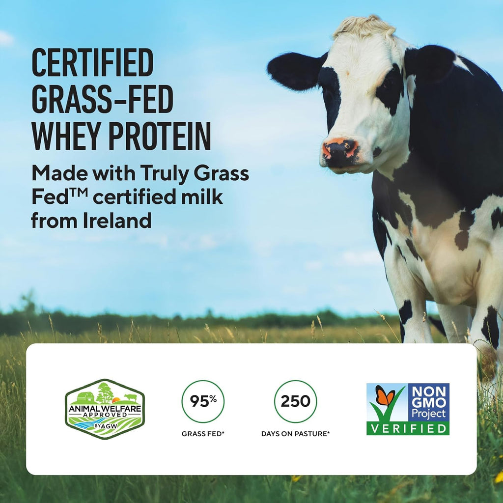LEGION Whey+ Isolate Powder - Grass-Fed, Lactose-Free

