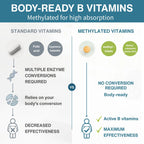 Igennus High Absorption Super B-Complex|Bioactive B Vitamins

