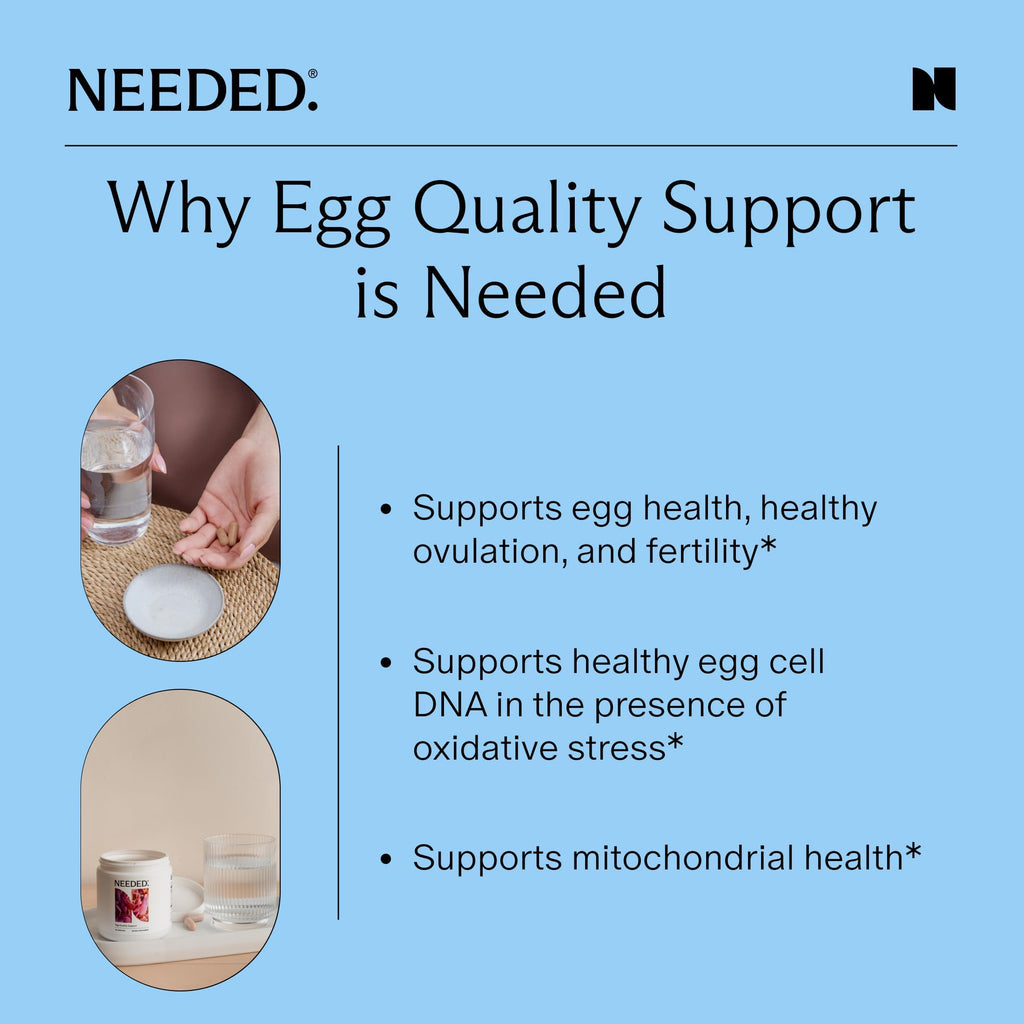 Egg Quality Support – Antioxidant Fertility Supplement

