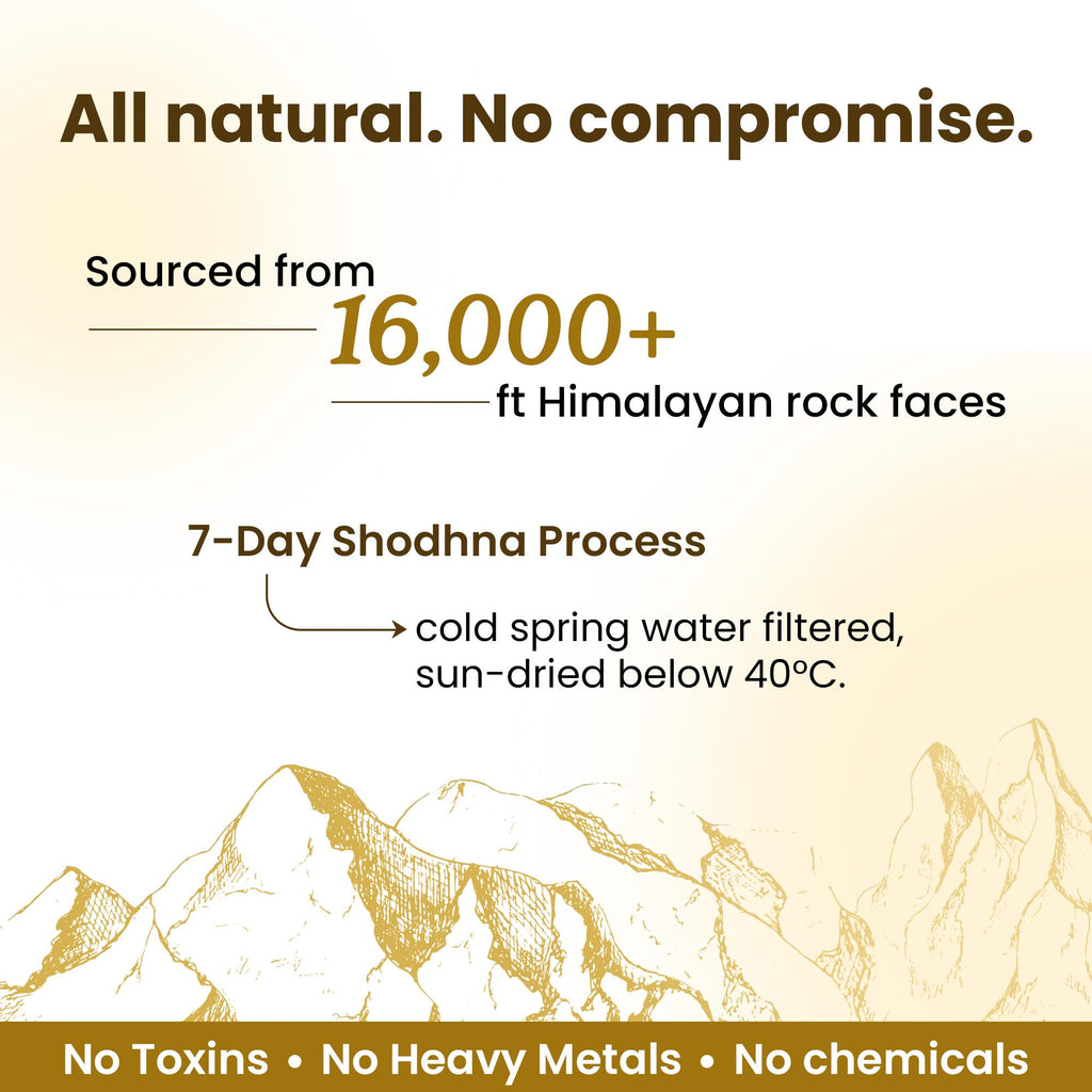Better Alt Shilajit Himalayan Resin for Energy & Immunity

