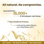 Better Alt Shilajit Himalayan Resin for Energy & Immunity

