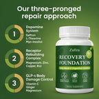 Zafira Recovery Foundation Capsules | Mood, Energy & Digestive Support

