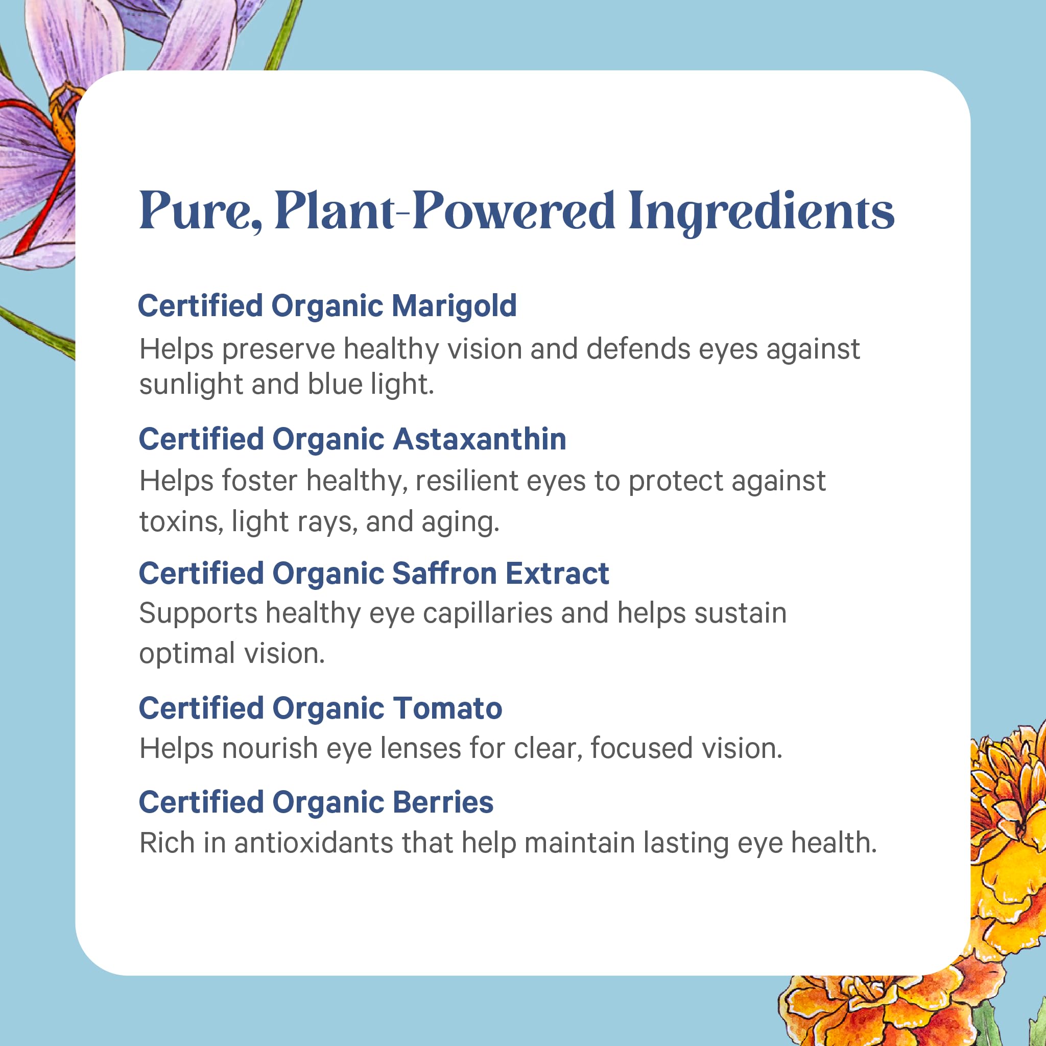 Pure Synergy Eye Protector - Natural Eye Health Support

