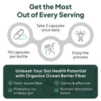 Organics Ocean Better Fiber – Daily Fiber Supplement

