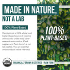 Amino Acids by Triquetra Health: Plant-Based Essentials

