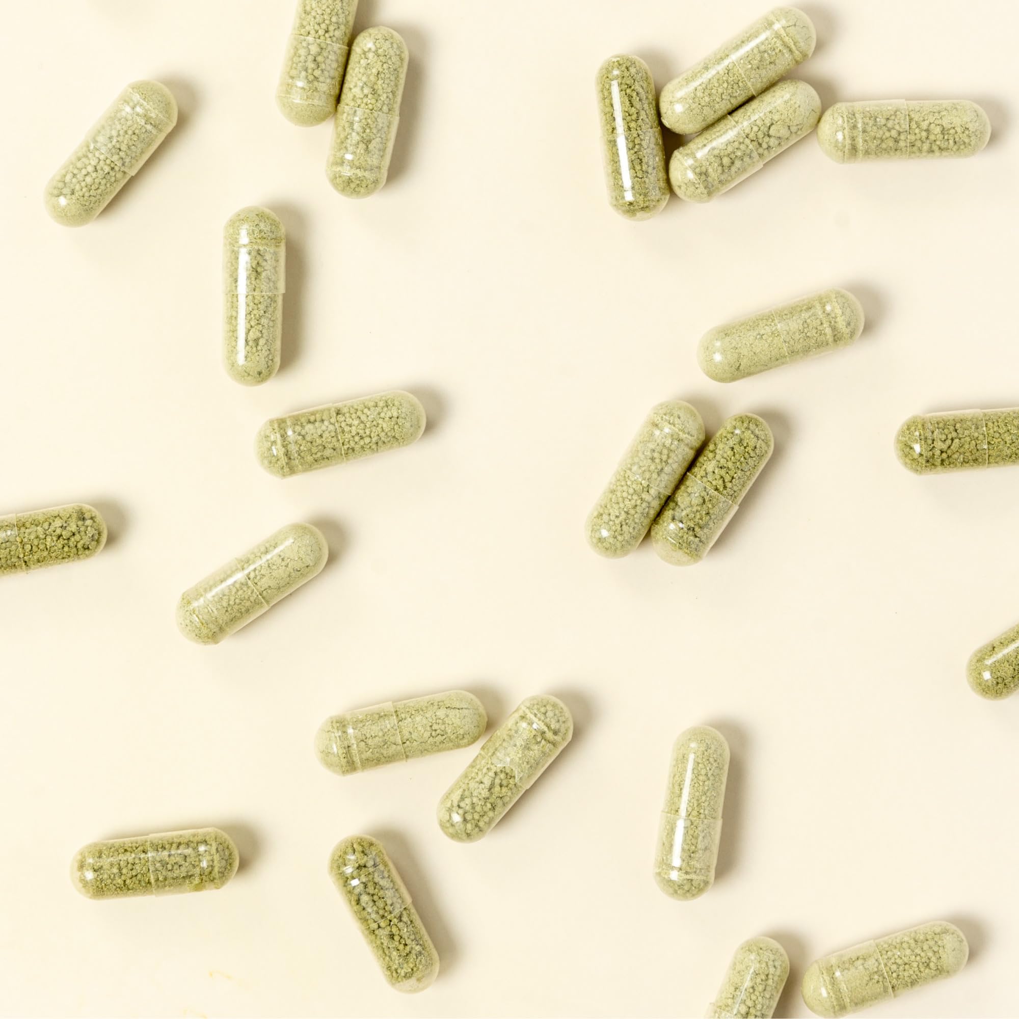 MaryRuth's Probiotic Capsules for Gut Health - Vegan

