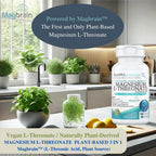 Kappa Nutrition Magbrain Magnesium L-Threonate | Brain & Sleep


