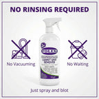 FOLEX Carpet Cleaner Spray - Instant Stain Removal

