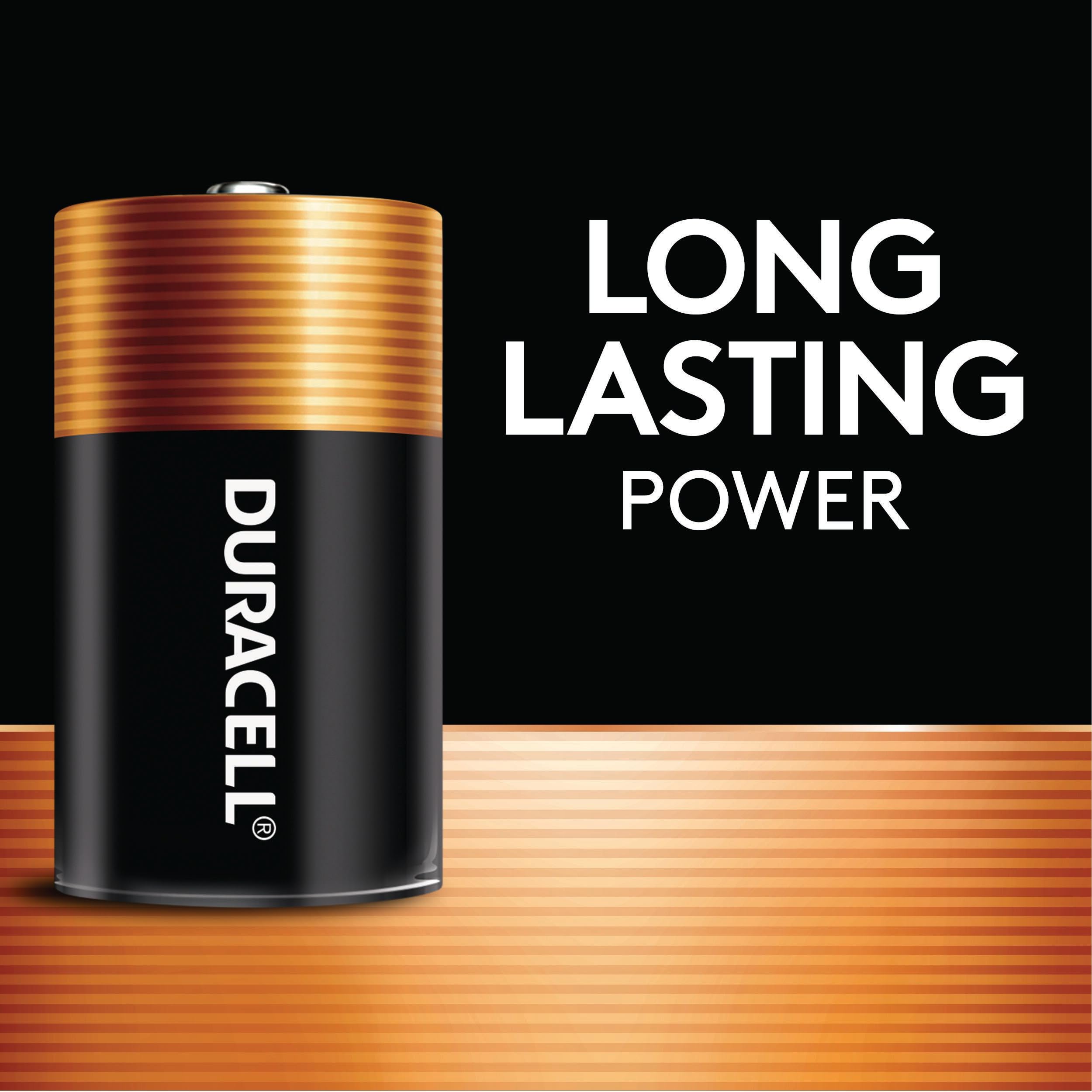 Duracell Coppertop All-Purpose Alkaline Batteries

