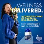 QWELL Vegan Omega-3 Algae Oil DHA EPA DPA

