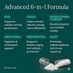 Liposomal Energy Support Supplement | Daily Vitality

