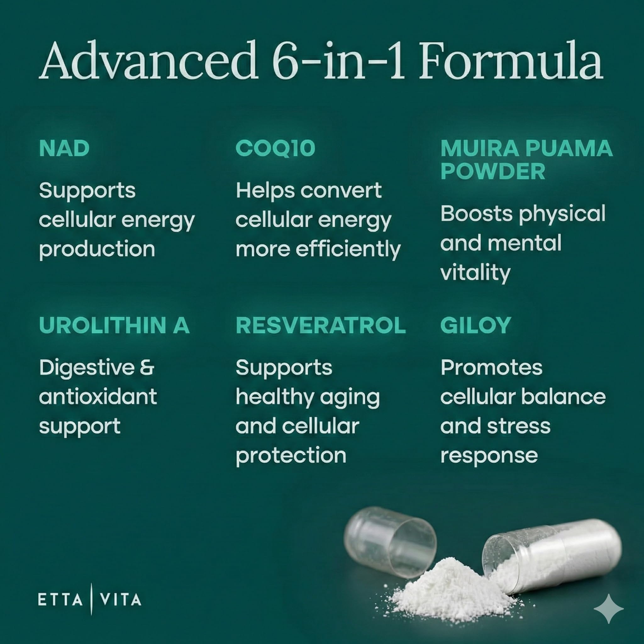 Liposomal Energy Support Supplement | Daily Vitality

