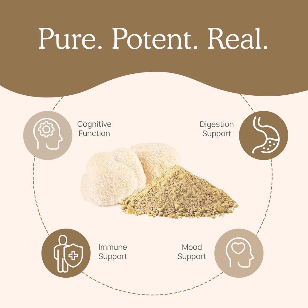 Real Mushrooms Lion's Mane Mushroom Powder Extract - Organic

