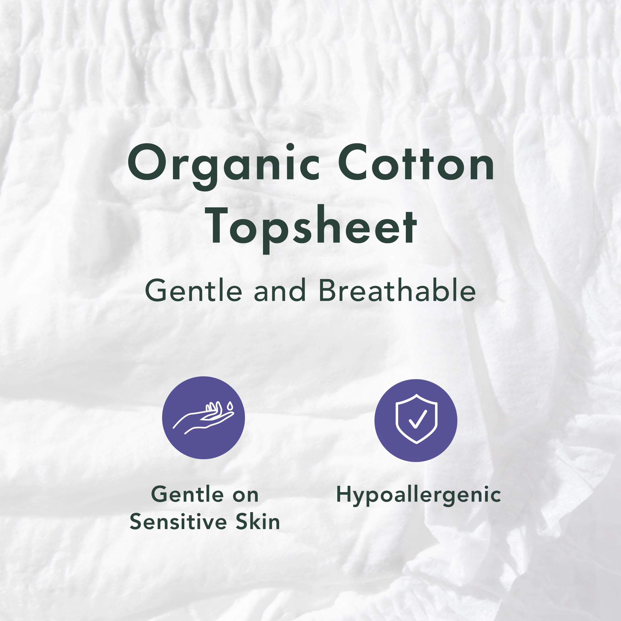 Rael Disposable Underwear for Women - Organic Cotton Cover

