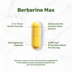 Berberine Turmeric Dietary Supplement | DEAL SUPPLEMENT

