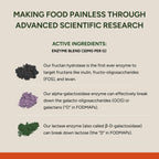 FODZYME Digestive Enzymes for Gut Health

