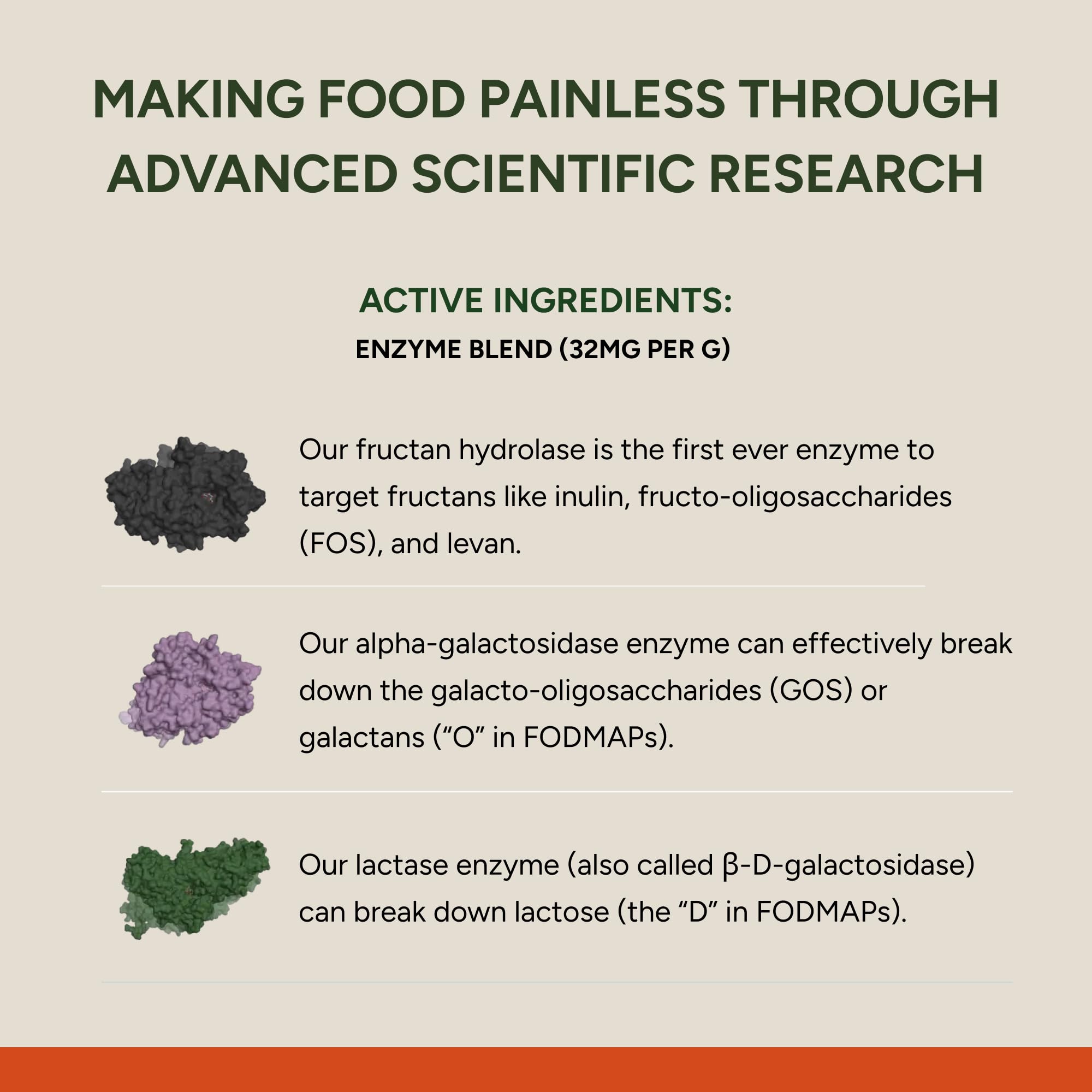 FODZYME Digestive Enzymes for Gut Health

