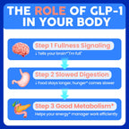 GLP-1 Supplement for Women & Men with Akkermansia & Berberine

