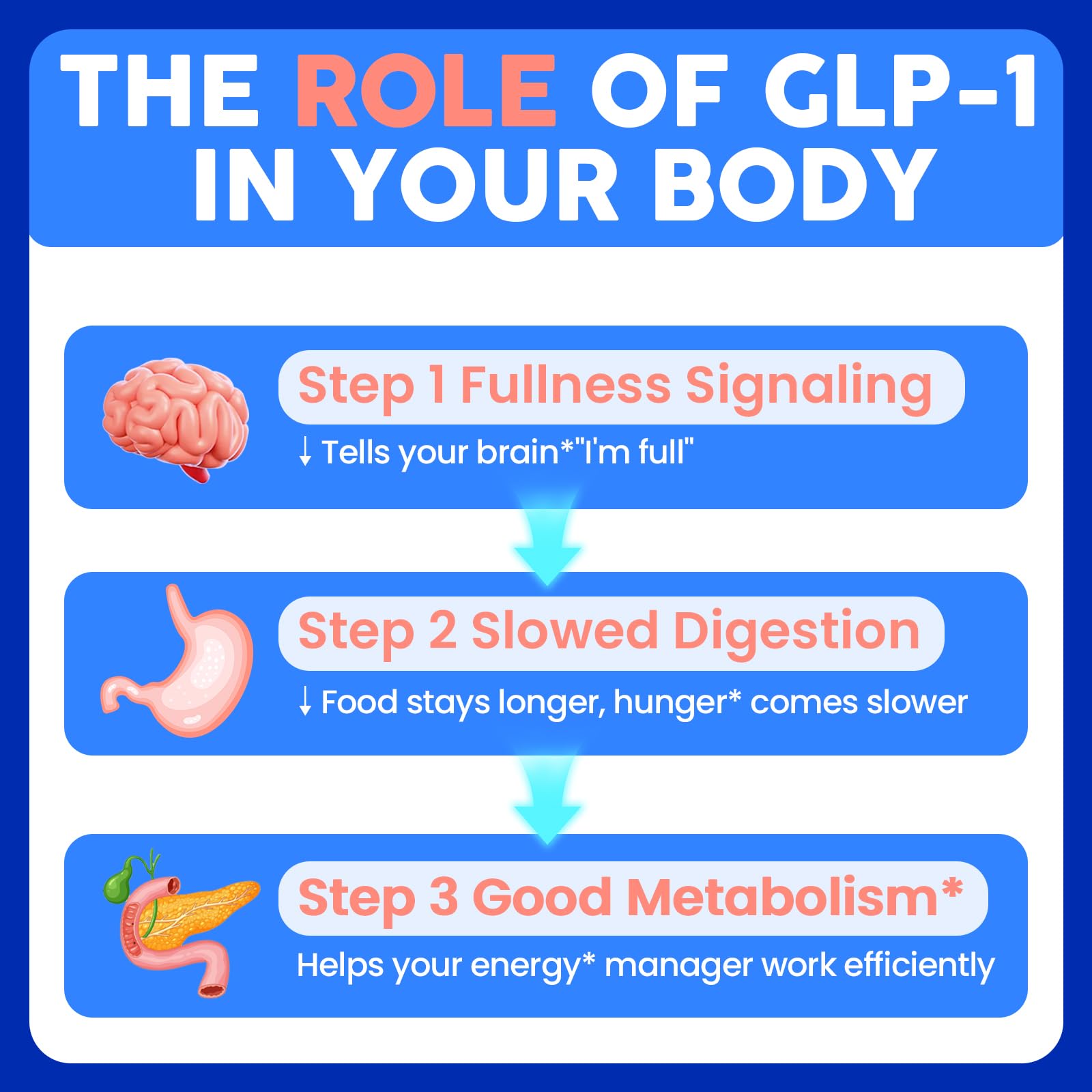 GLP-1 Supplement for Women & Men with Akkermansia & Berberine

