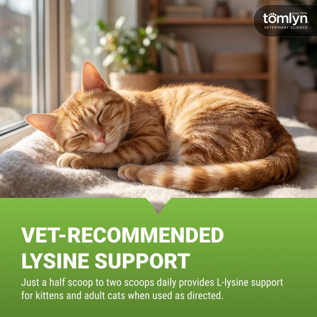 L-Lysine Powder for Cats by Tomlyn | Immune Support

