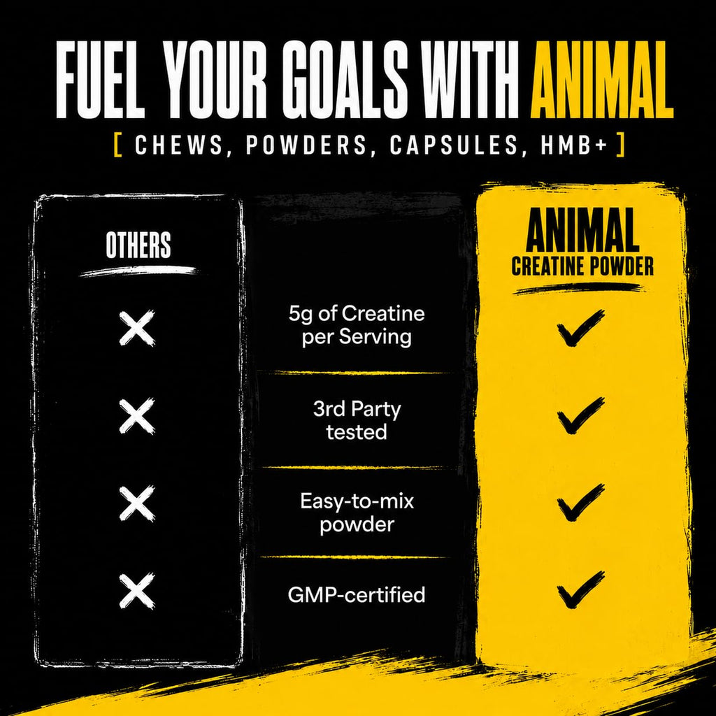 Animal Creatine Monohydrate Powder – Micronized Performance

