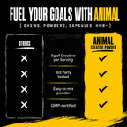 Animal Creatine Monohydrate Powder – Micronized Performance

