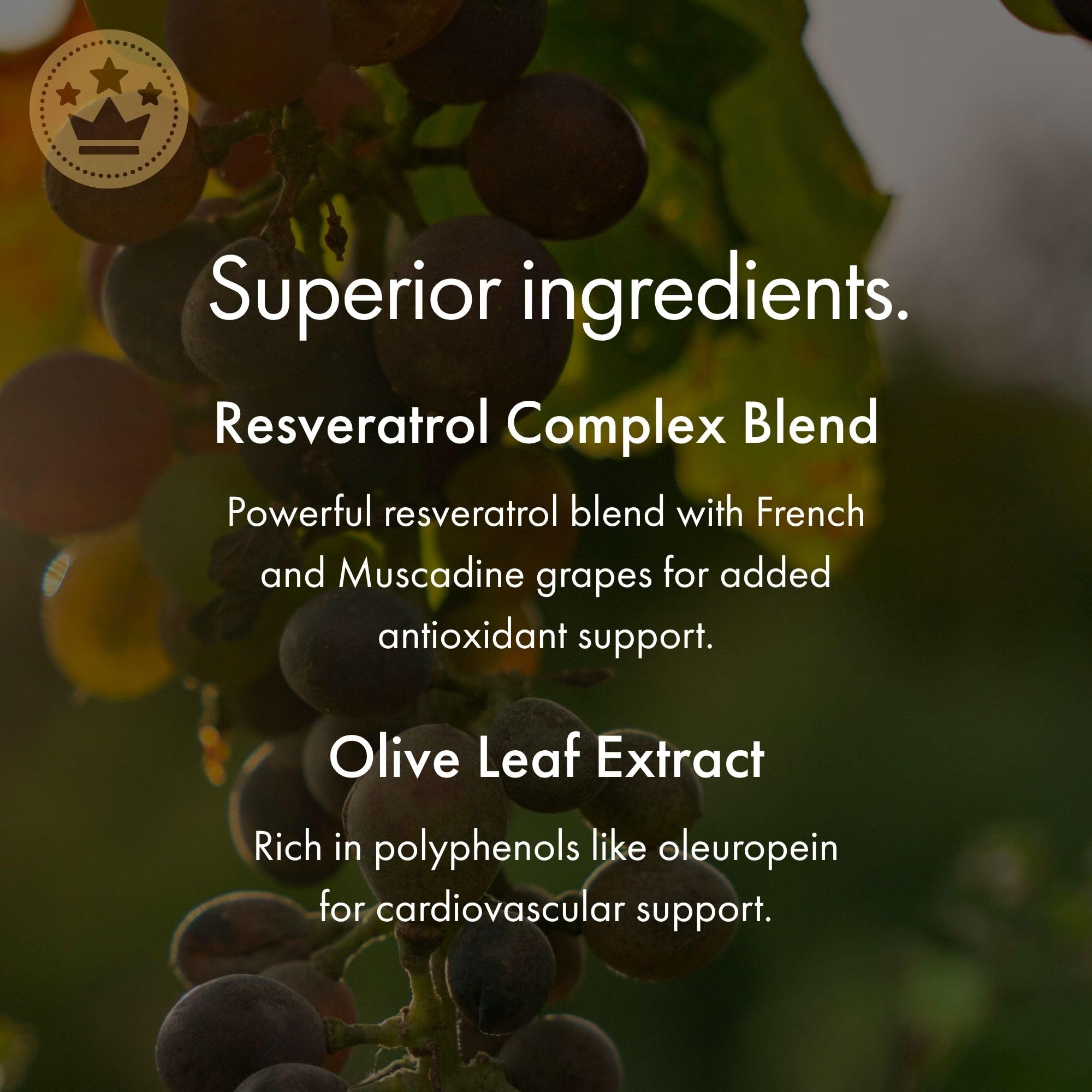NAOMI Bergamot 500 mg with Resveratrol - BergAmore Extract

