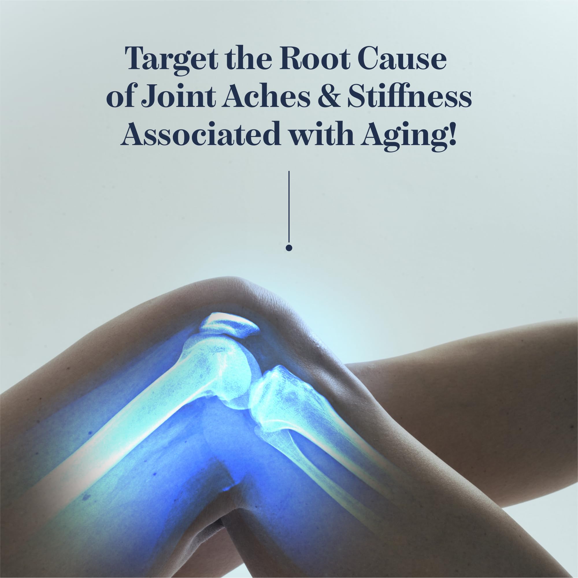 Synocell Glucosamine Chondroitin Complex for Joint Support

