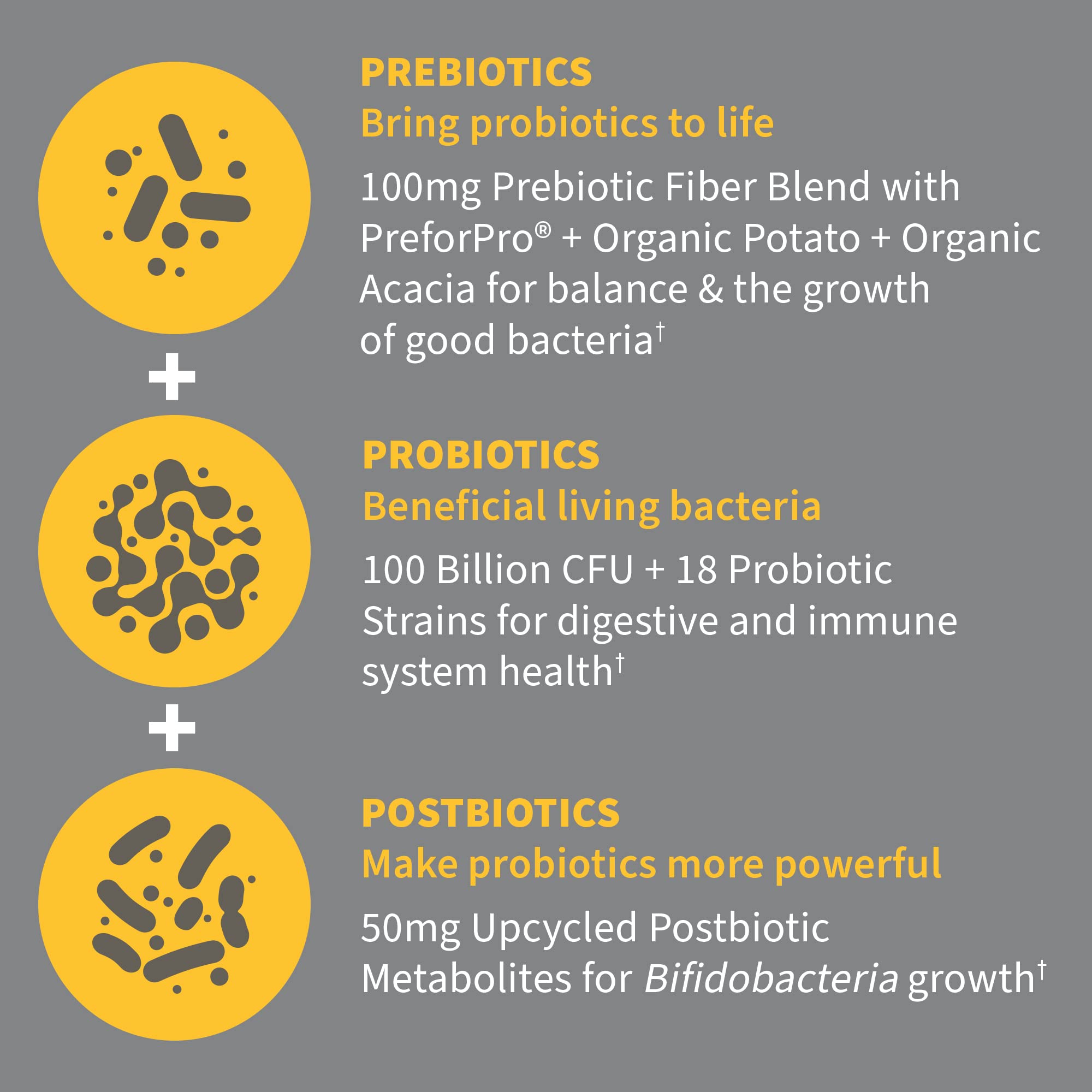Garden of Life Dr. Formulated 3-in-1 Probiotics 100B CFU

