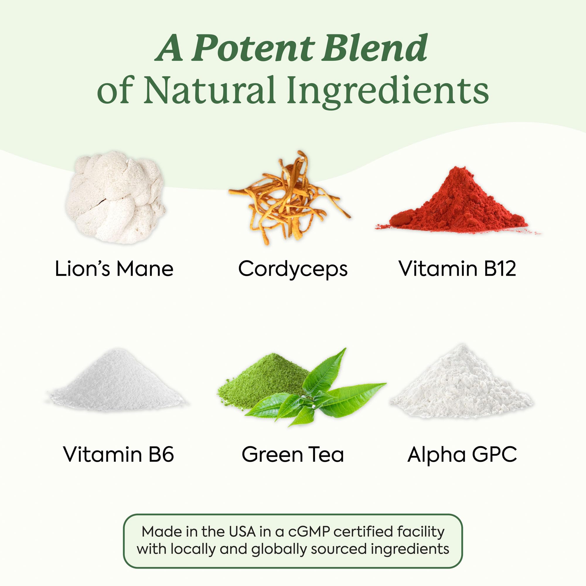 Plant People WonderFocus Mushroom Gummies | Nootropic Brain Support

