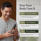 Terra Health Essentials Liposomal Glutathione Supplement

