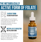 Organic Methyl Folate + Methylcobalamin Liquid Sublingual

