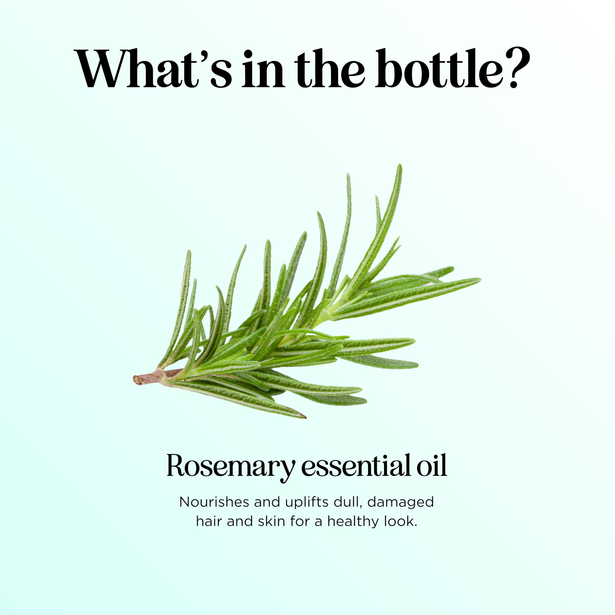 Essential Oil by Maple Holistics with Dropper

