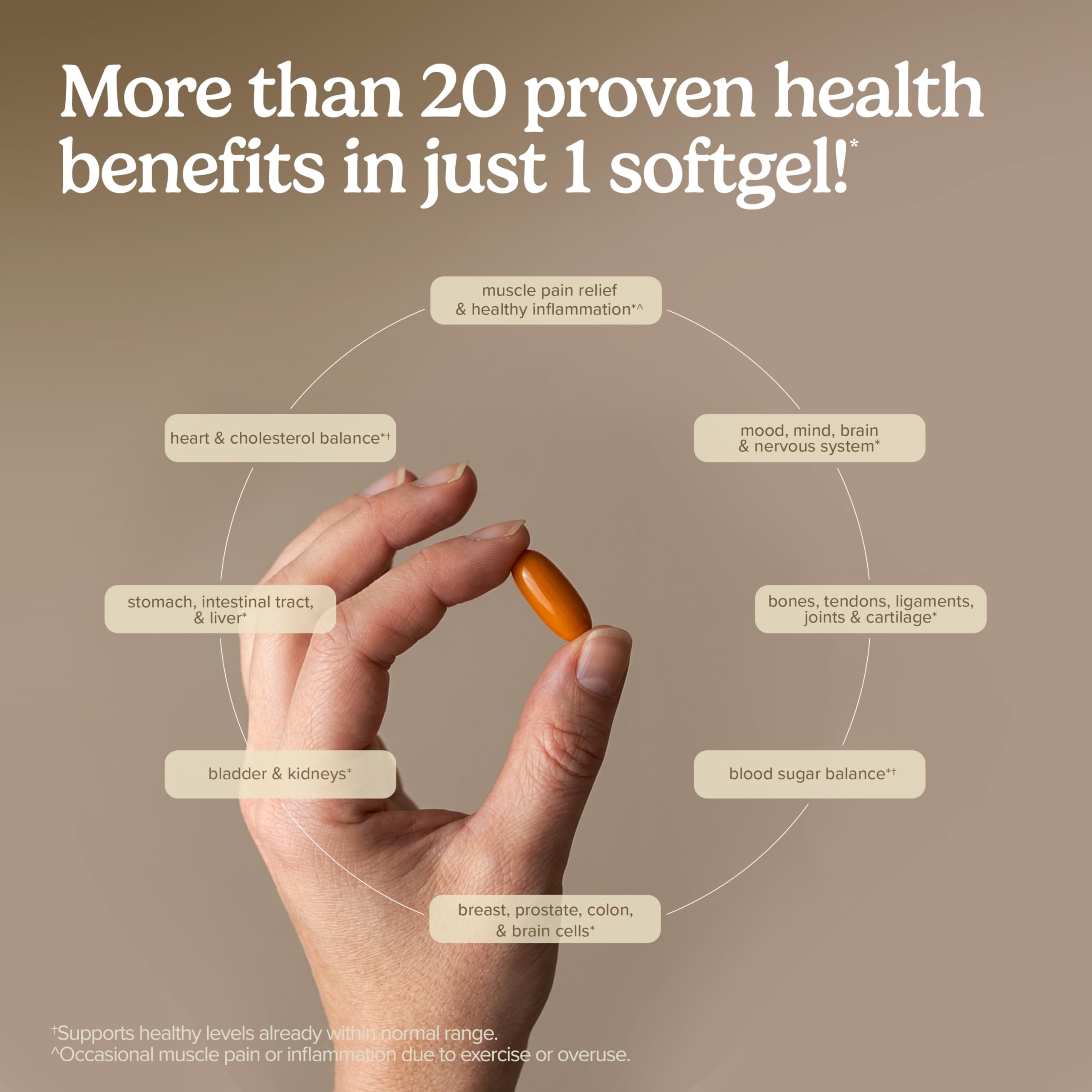 Terry Naturally CuraMed Curcumin for Brain & Heart Health

