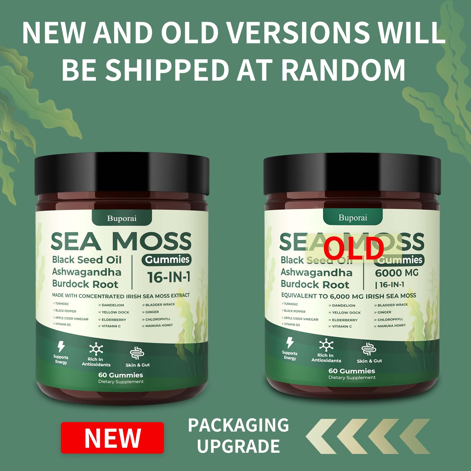 Sea Moss Gummies with Bladderwrack – Immune & Digestion

