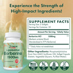 CEALMU CORE Liposomal Berberine HCL 1500mg AMPK Support

