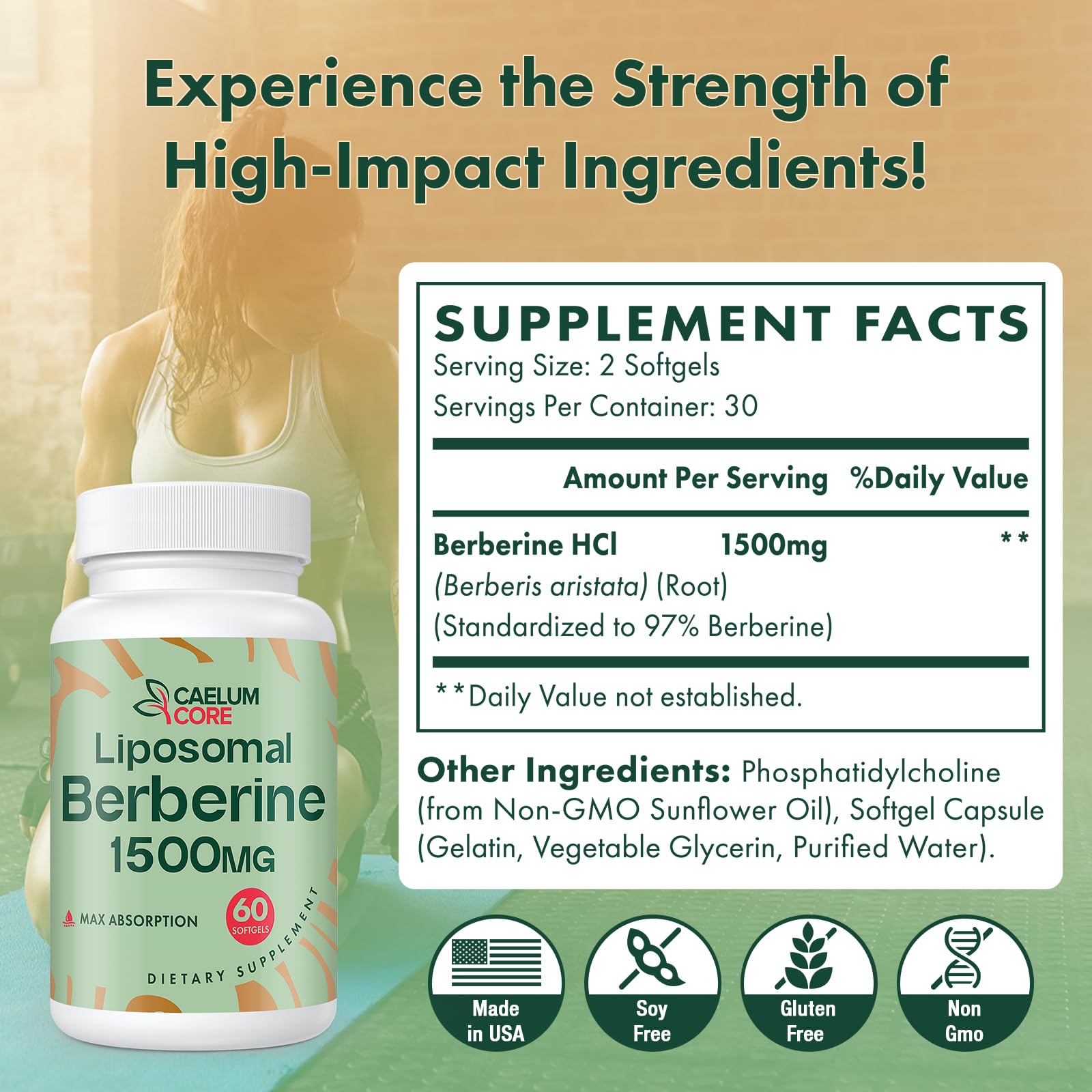 CEALMU CORE Liposomal Berberine HCL 1500mg AMPK Support


