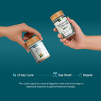 Gut Health Lipase & Greens Bundle - Snap Supplements

