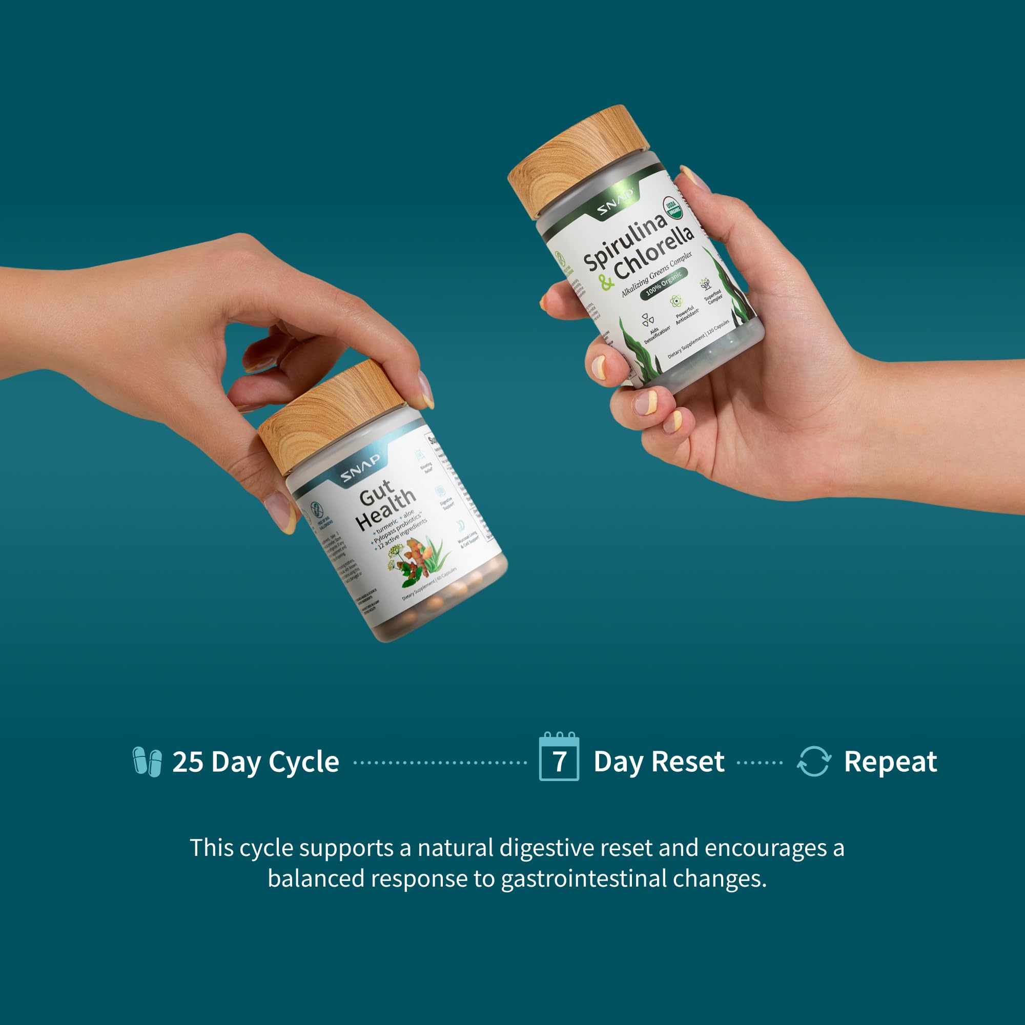 Gut Health Lipase & Greens Bundle - Snap Supplements


